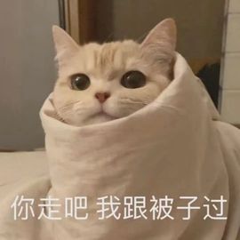 蜜大寶💋钱到兜里来主播照片