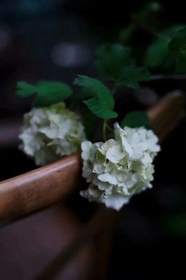 დ释怀დ主播照片