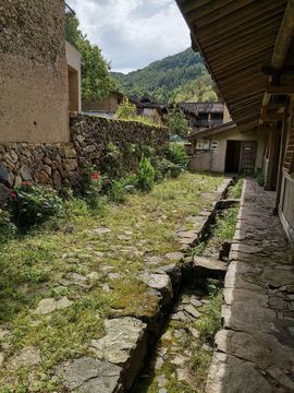 小谢农村田园生活的图片