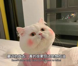 芯瑶❤️今休周二见～主播照片