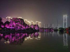 藏獒王∶成龙沸沸主播照片