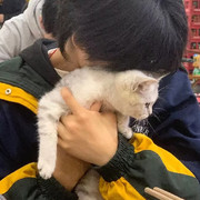 江忍🐋