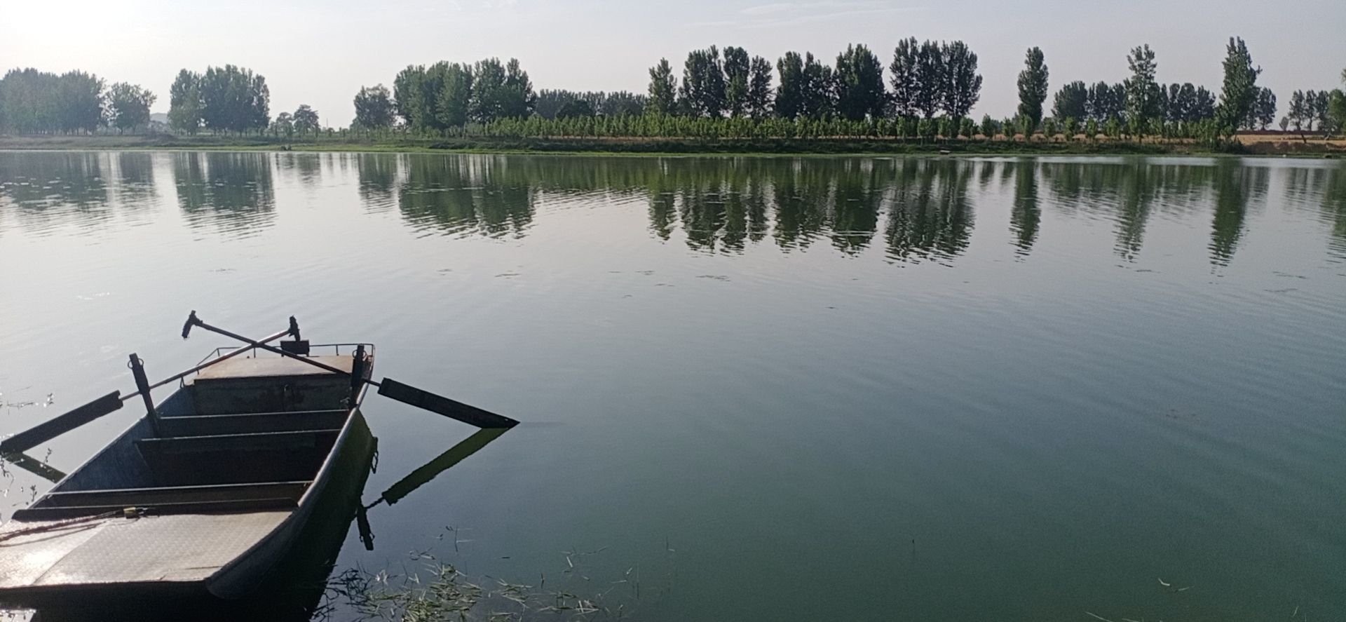 小芳，🌸减肥打卡的图片