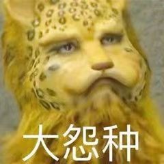 柒七休主播照片