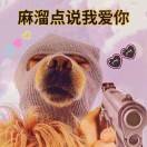 顶个球9的头像