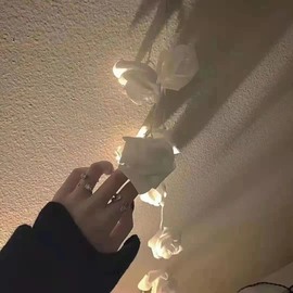 挽月＂🦩的图片