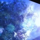 落俗不可避免🦋.