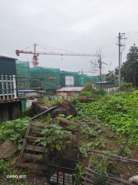 南边等你主播照片