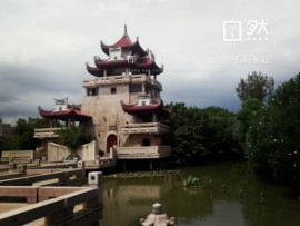 唔～飞机的图片