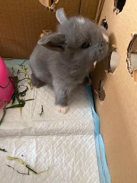 默丨默丶^_^主播照片