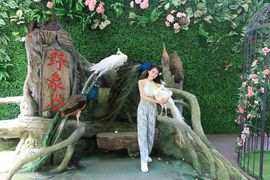 ◐惠主，2388◐的图片