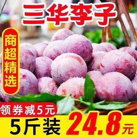别揪我的小耳朵主播照片