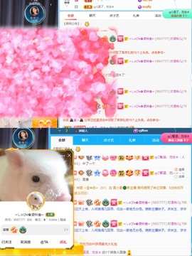 读书去了，有亿点忙主播照片