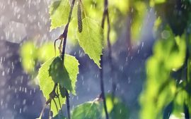 September★主播照片