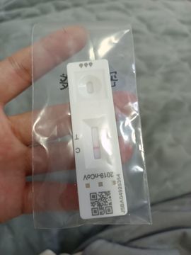 👑䒕暖宝好运旺旺旺主播照片