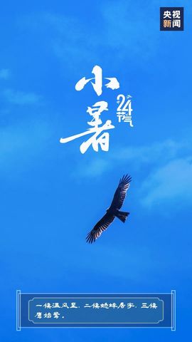 超持久“桑拿天”来了主播照片