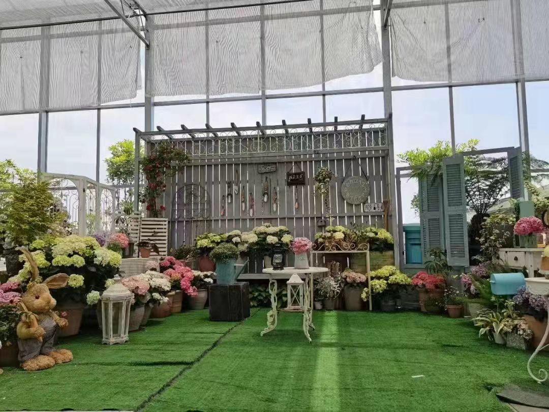 🌸梦歆🌸风宵哥哥的图片