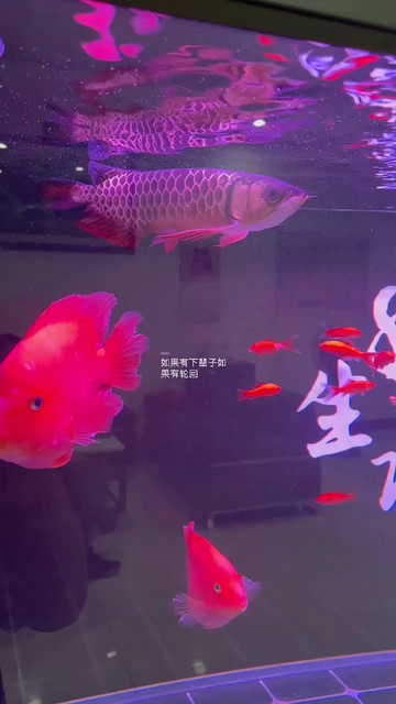 人因不惜而散，心因不