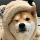 孤!t海报