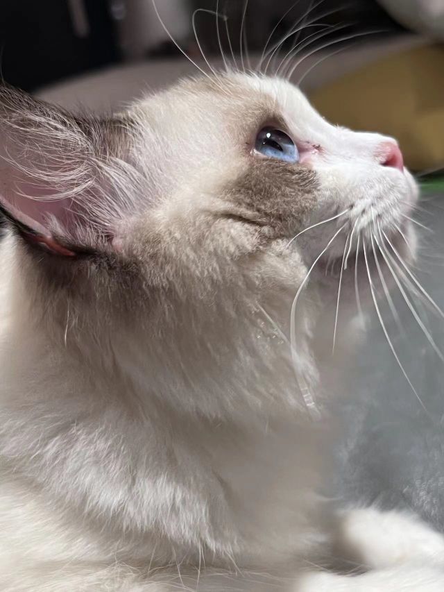 美妞ღ美美美！的图片