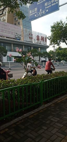 果果(平安好运)主播照片