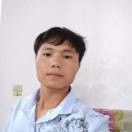 王小年v6