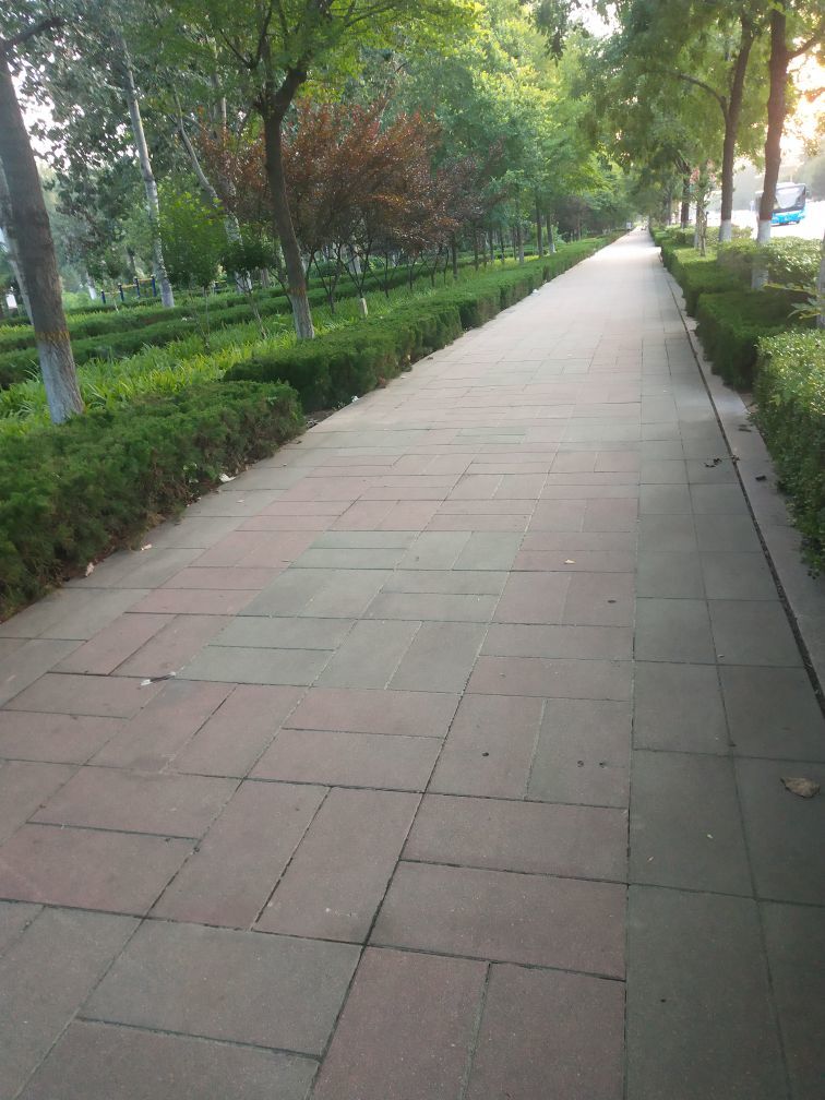 简爱✨向阳的图片