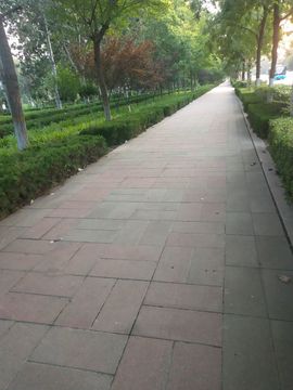 简爱✨向阳主播照片