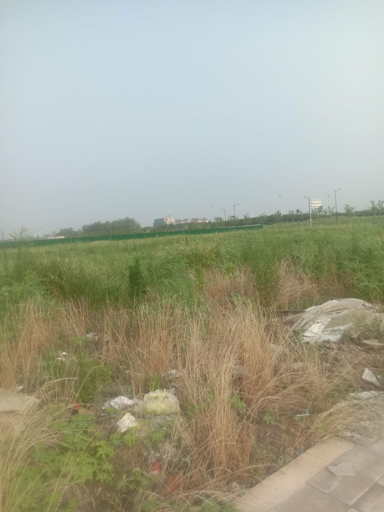 動之以情（小浪浪）的图片