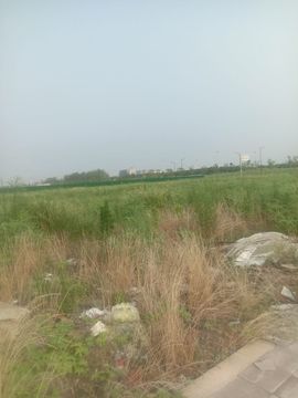 動之以情（小浪浪）的图片