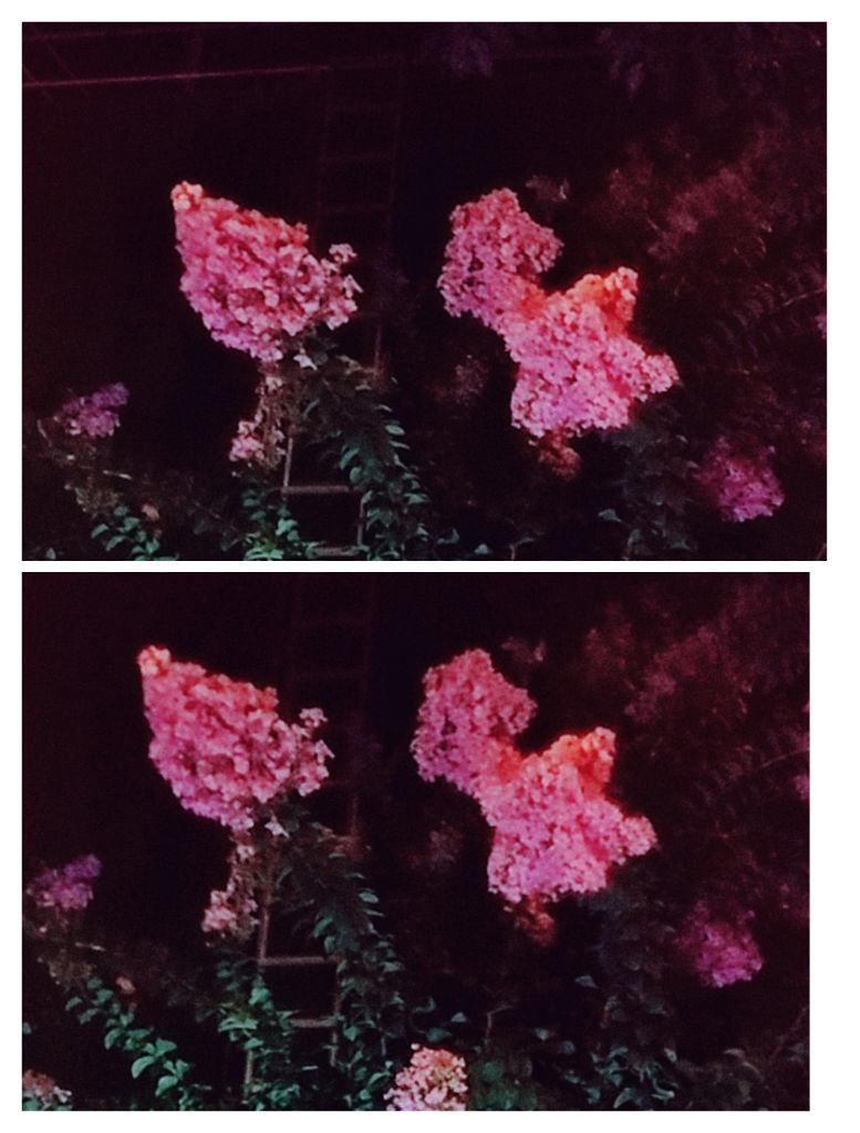 婷婷💕感恩有你陪伴的图片
