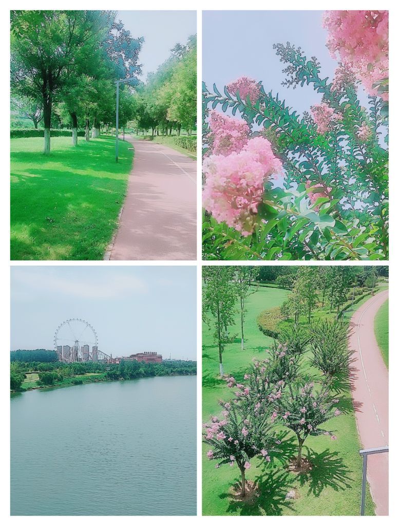 婷婷💕感恩有你陪伴的图片