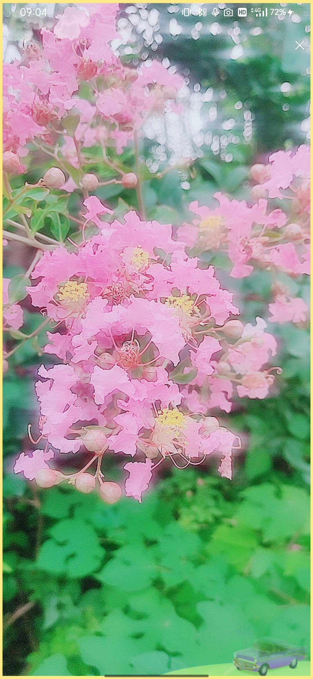 婷婷💕感恩有你陪伴的图片