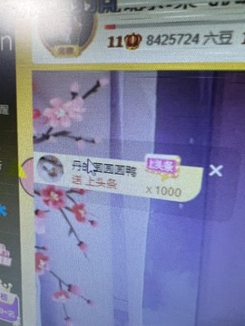丹是苦菜花的图片