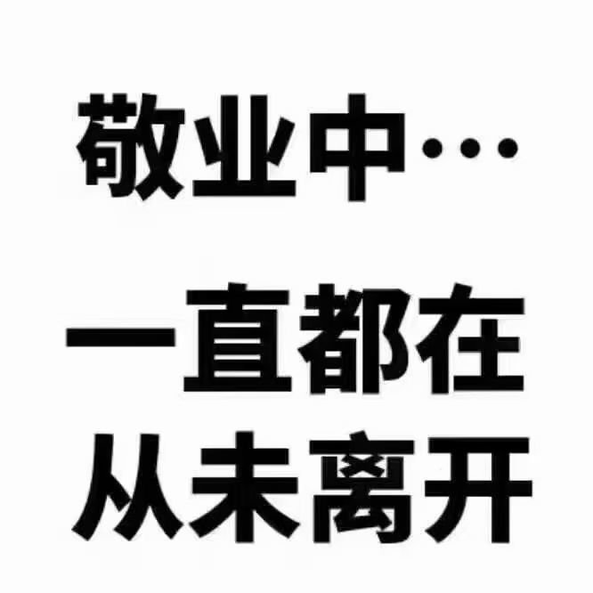 【金牌】代理欣儿即返的主播照片