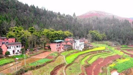 》雪山辉《的主播照片