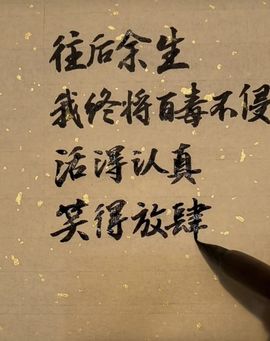 唔～飞机的图片
