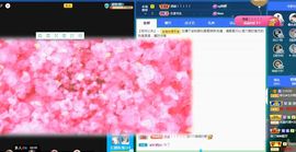 菲儿💗好运来🌈的图片