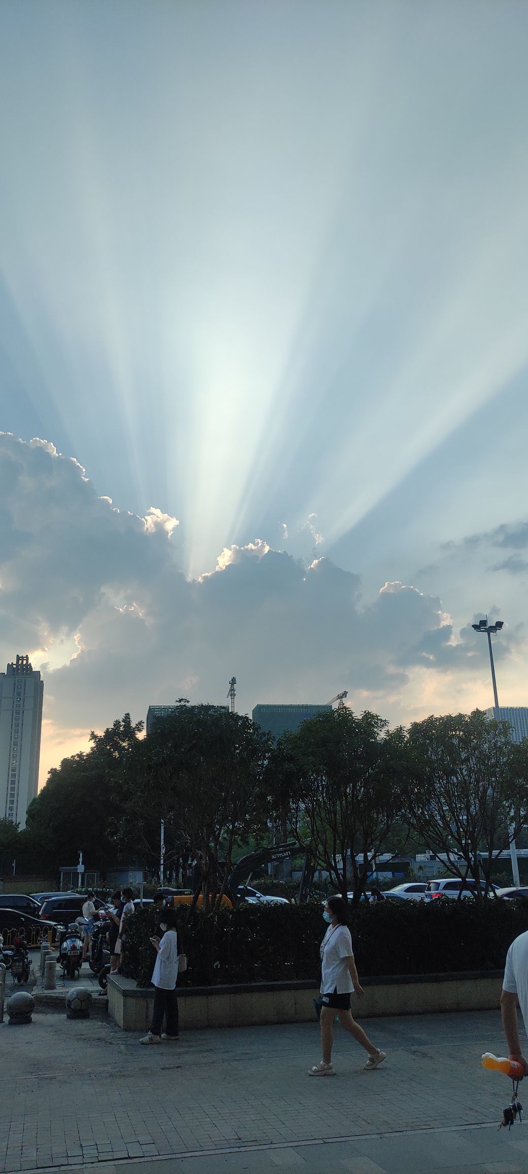 ♥玉颜❤️的图片