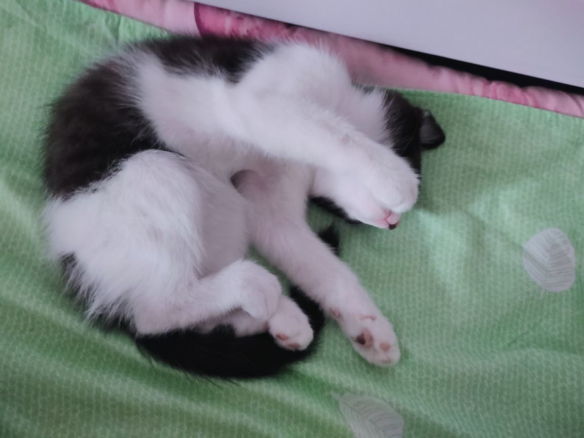 婷婷💕感恩有你陪伴的图片