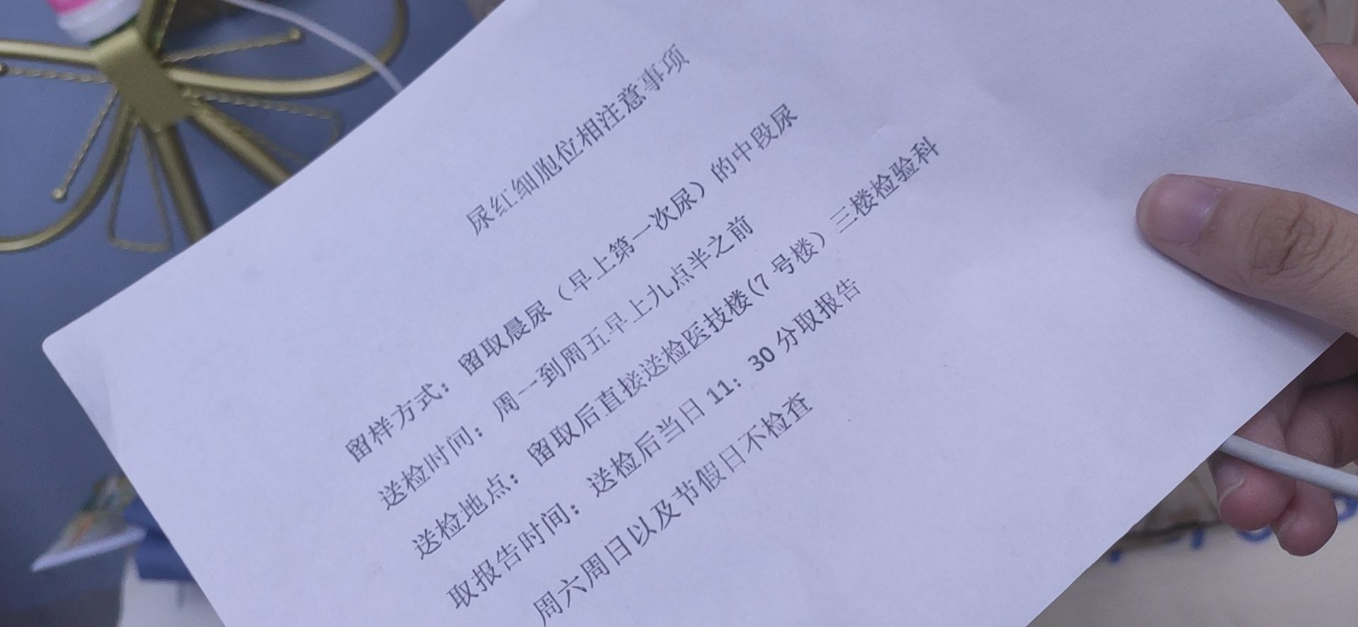 羊羊今天开心吗的主播照片