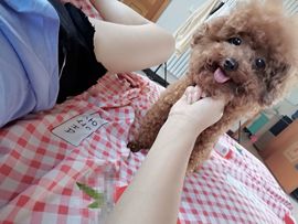 💞天宝💞💃🎤主播照片