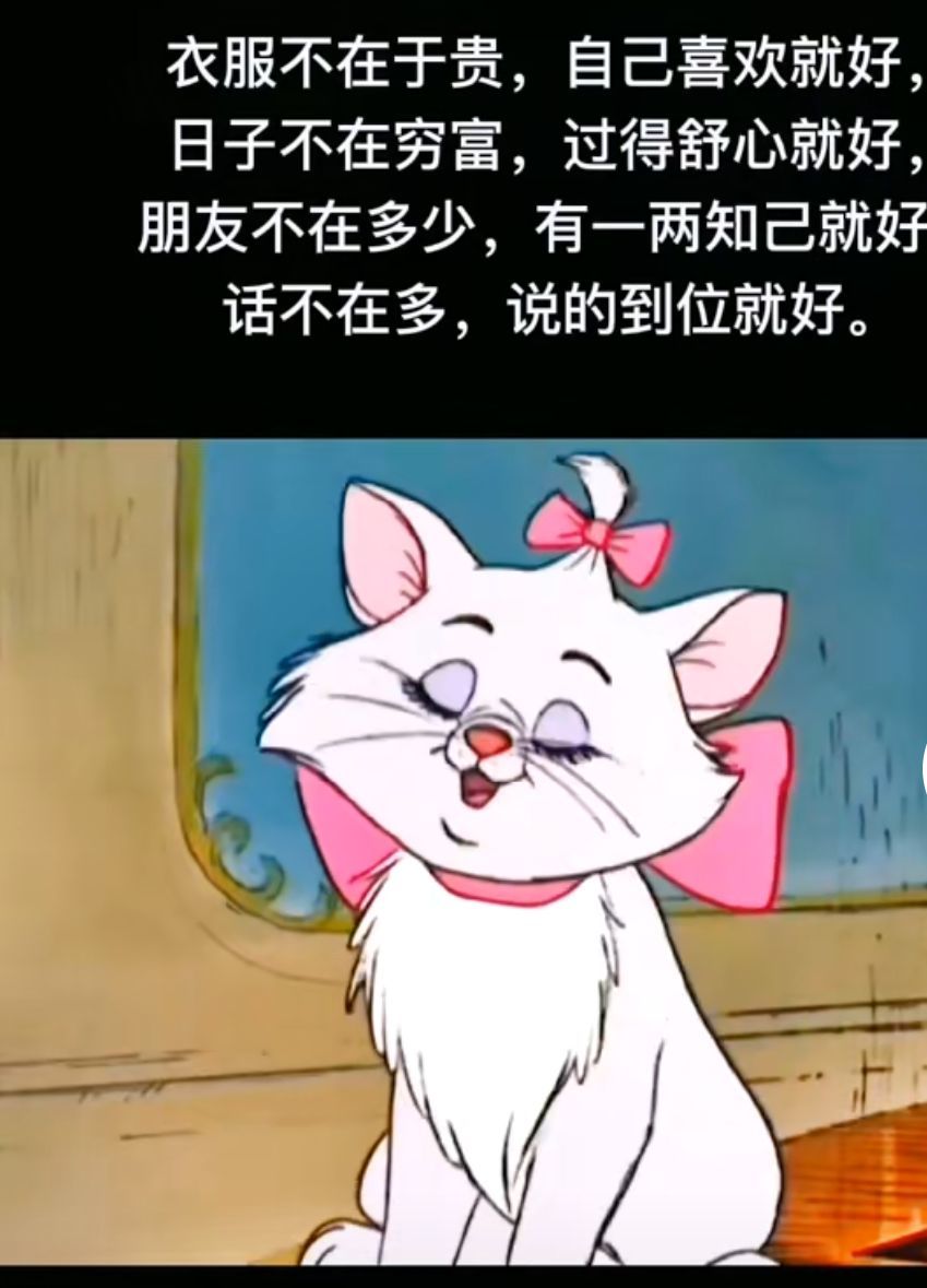 丑小鸭💞愿有一束光的图片