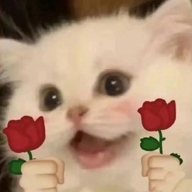 跑调嘉💟主播照片