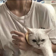 。。。l6*6的头像