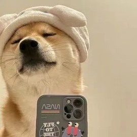 小晨星.的图片