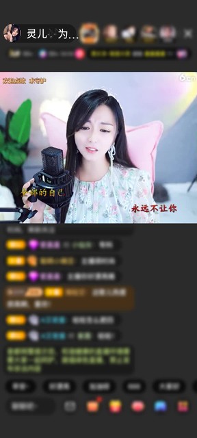 感谢素玩随眼赠送天空游乐园1个