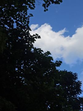 高音低音地沟通主播照片