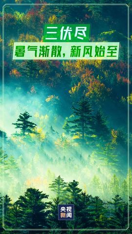 超持久“桑拿天”来了主播照片