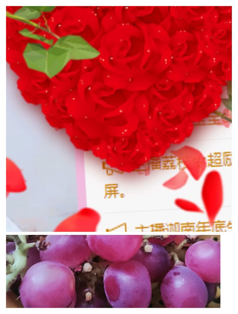 婷婷💕感恩有你陪伴的图片